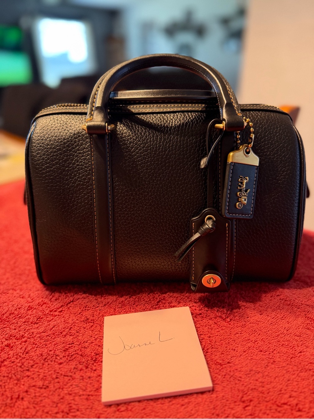 Coach Ruby 25 satchel